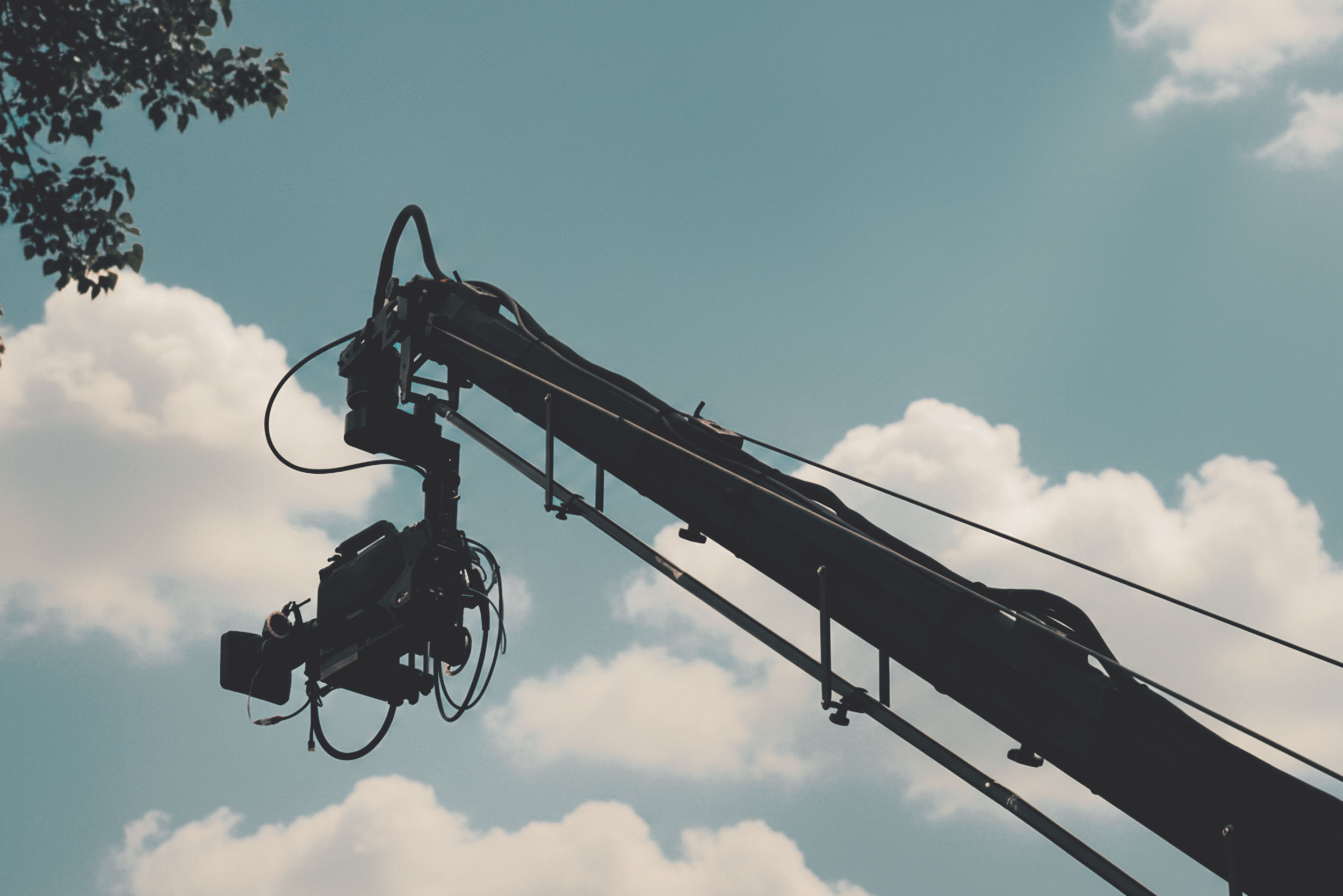Camera crane with camera rig
