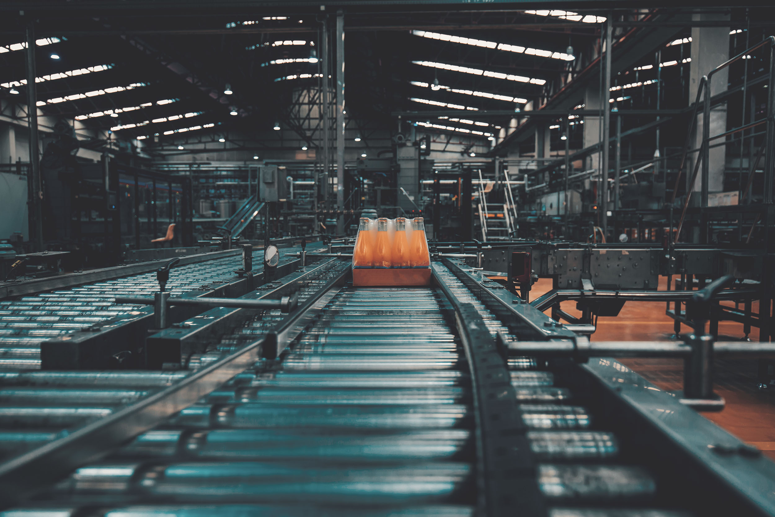 Conveyor system for transporting food